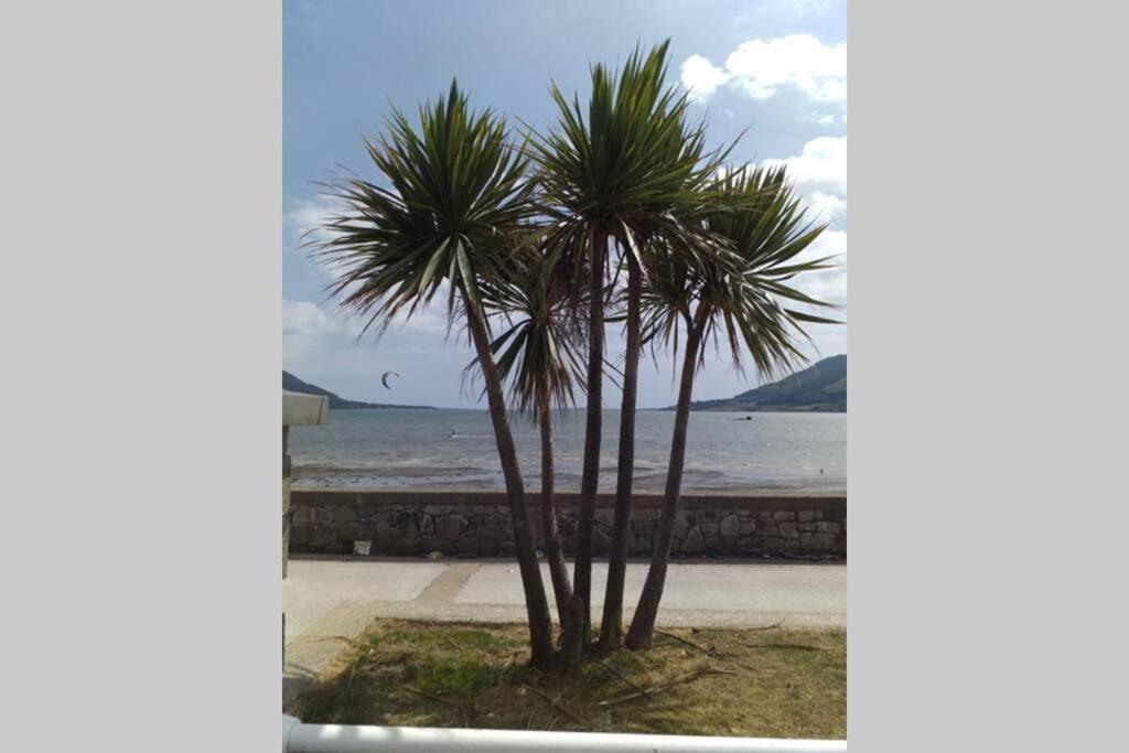 Are You Looking For A Big Piece Of Heaven? Warrenpoint Exterior foto